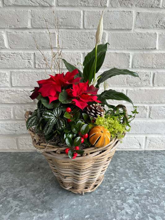 Festive Indoor Planter Basket